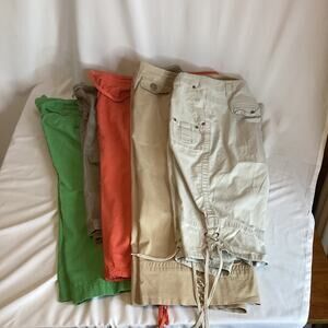 Capri Pants – Size 18 – Cato, Lane Bryant, Venezia 5 in Bundle